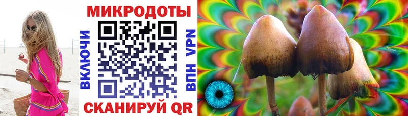 Купить где  Бородино  Псилоцибиновые грибы прущие грибы 